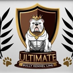 American Bully Kennel logo