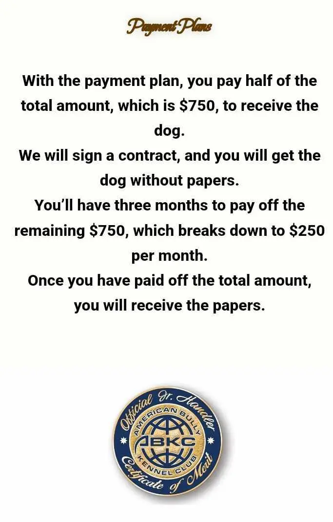 Flexible payment plans for your American Bully